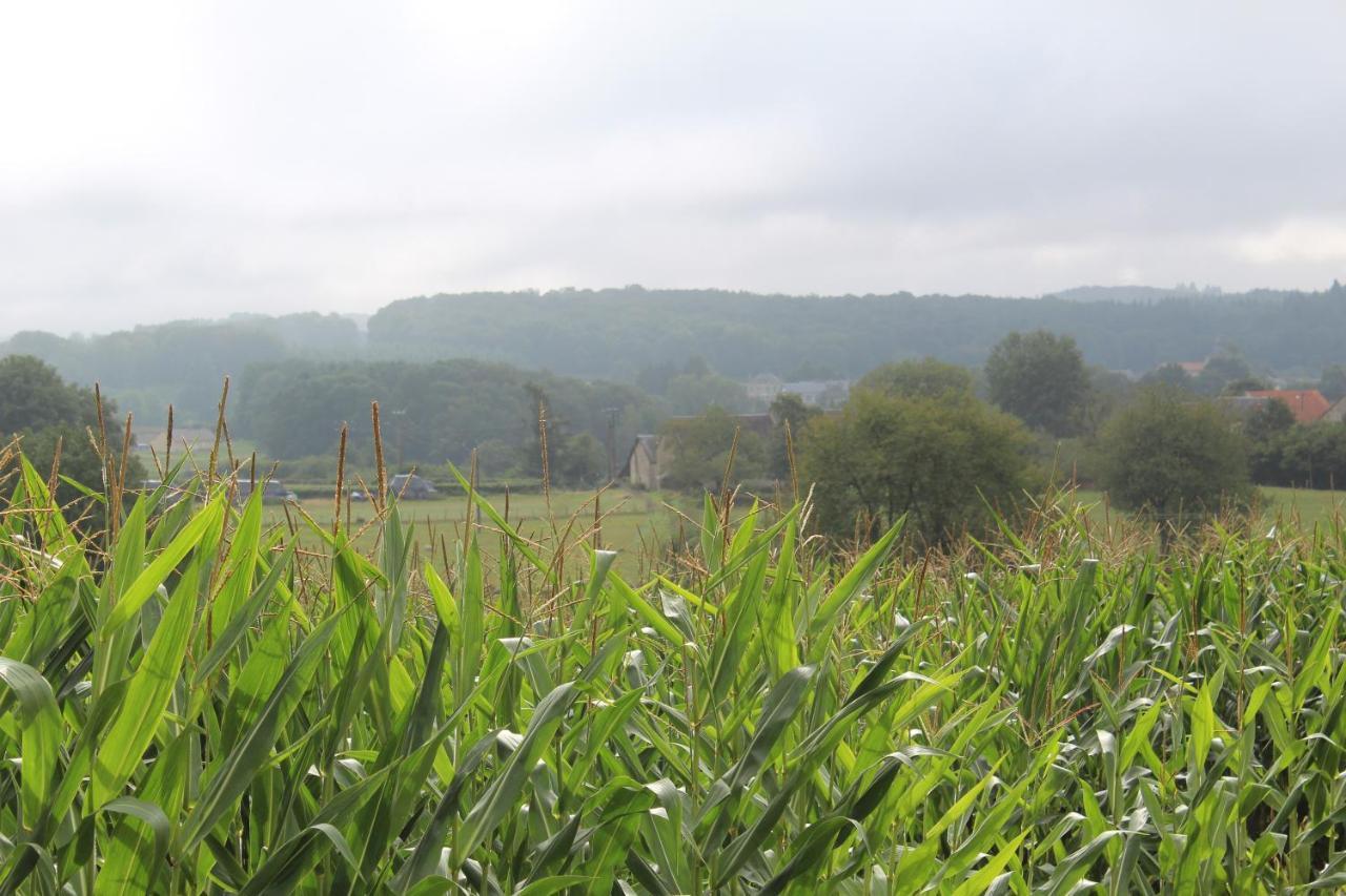 Dans La Creuse Mourioux-Vieilleville Exterior foto
